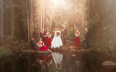 Tamborine Mountain Wedding Photographer